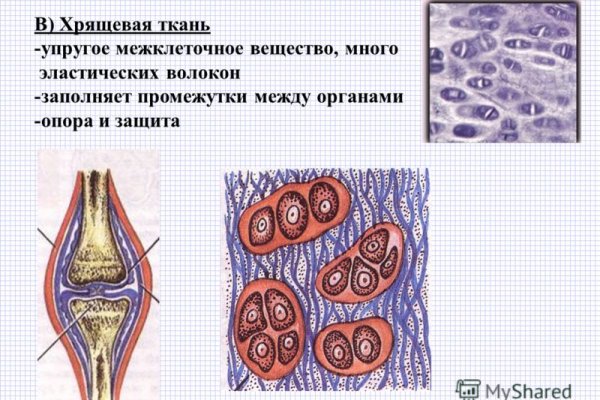 Кракен это современный даркнет